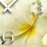 Digital Designer Art Flower  Designer Wanduhr abstrakt modernes Wanduhren Design leise kein ticken DIXTIME 3DS-0408