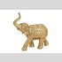 Elefant gold